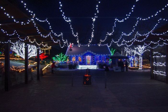 Christmas decoration on roof